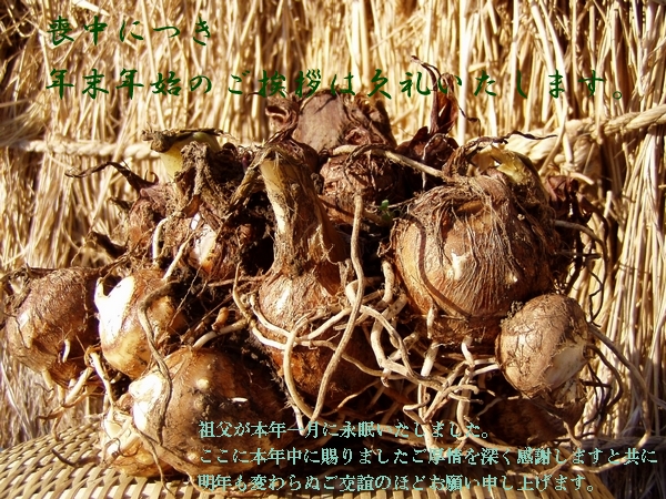 071227mochuu.jpg