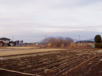 080201start.jpg