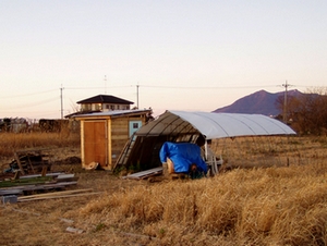 081227tsukushi.jpg