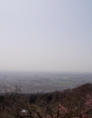 090318harugasumi.jpg