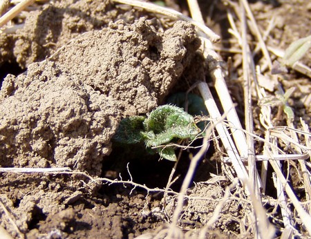 090422opening.jpg