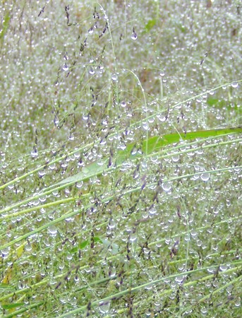 091007raindrops.jpg