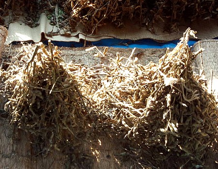 121126drying.jpg