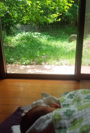 140528siesta.jpg