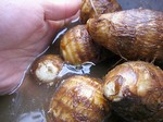 141125satoimo.jpg