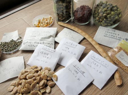170411seeds.JPG