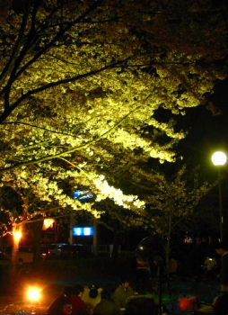 060407hirasuna