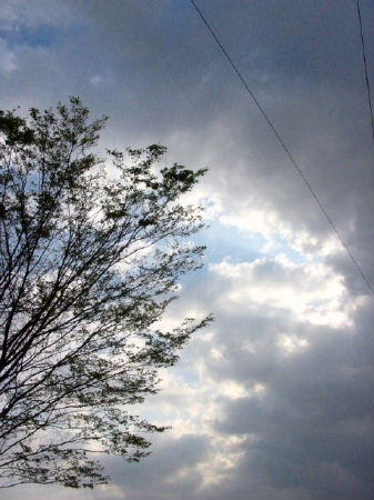 060420ameagari