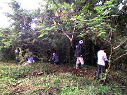 060528nikutairoudou
