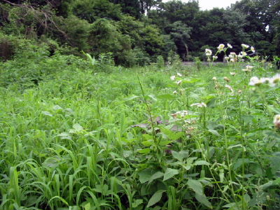 2006Blog0066.jpg