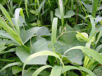 2006Blog0067.jpg