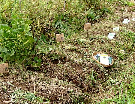 20100929seeding.jpg