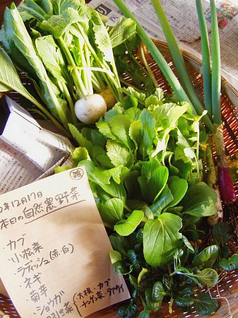 20101216vegetables.jpg