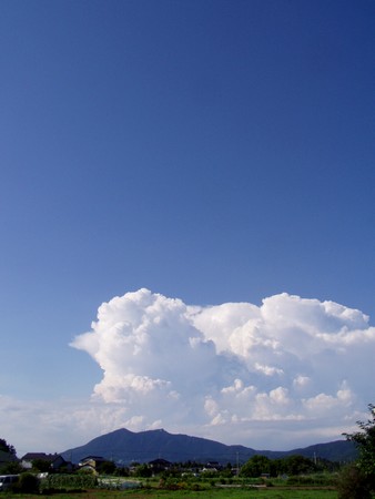 201107010tsuyuake.jpg