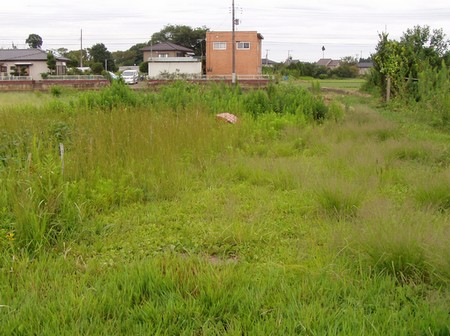 20110923parking.jpg