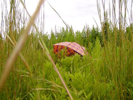20110923wasuremono.jpg