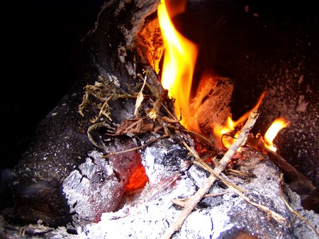 20111222takibi.jpg