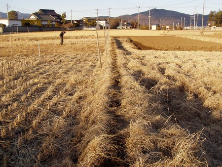 20120211aze-before.jpg