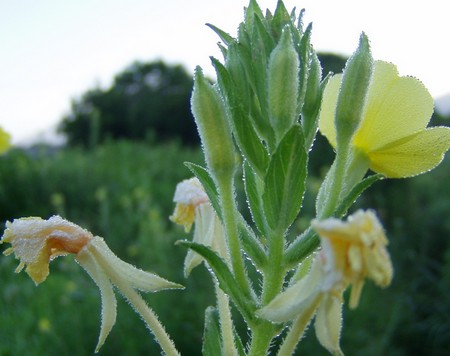 20120803morning.jpg