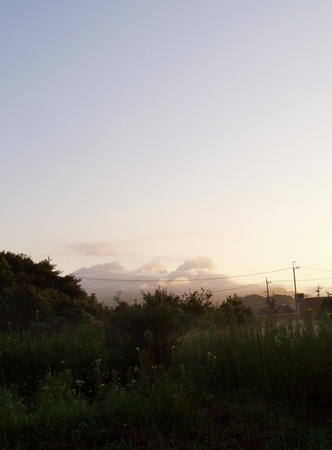 20120822morning.jpg