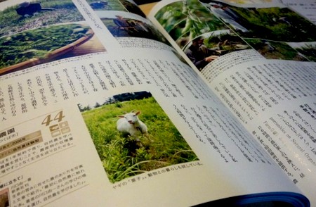 20121112sotokoto.jpg