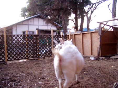 20130211dance.jpg