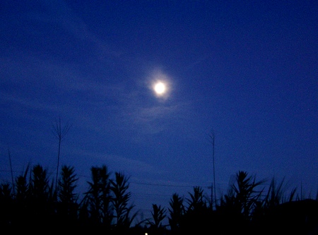 20130721moon.jpg