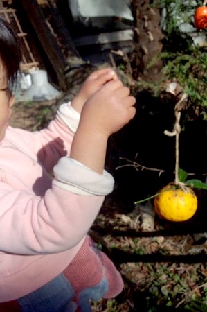 20131215making-tree2.jpg