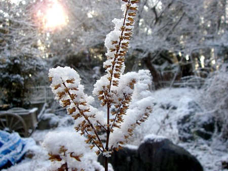 20140119snow.jpg