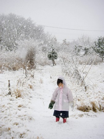 20140204snowing.jpg