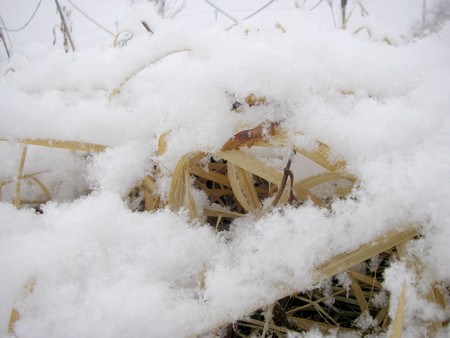 20140204under.jpg