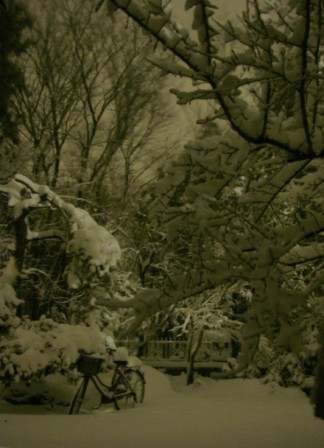 20140209snowinthemidnight.JPG