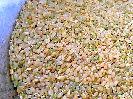 20150112rice.jpg