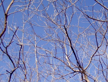20160127-090123.jpg