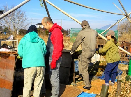20161219harvesting.jpg