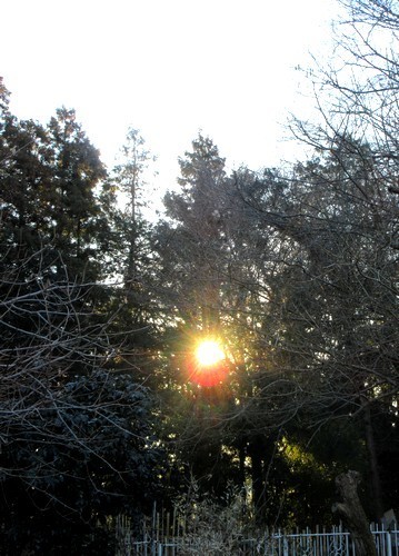 20170107sunrising.jpg
