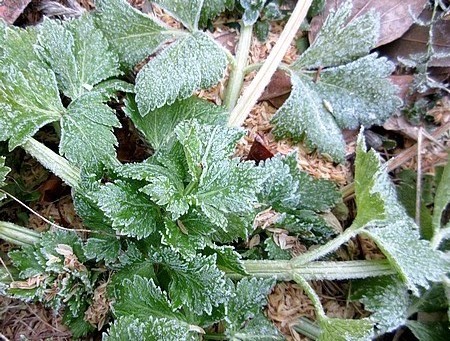 20170117morning.jpg