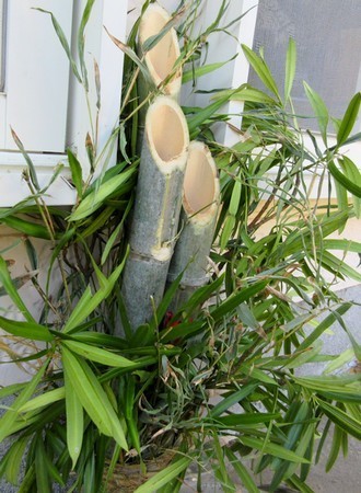 20190101kadomatsu.jpg