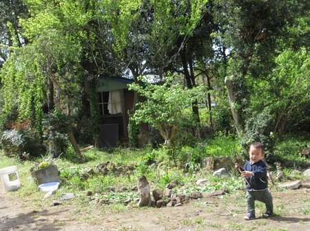 20190130kid.jpg