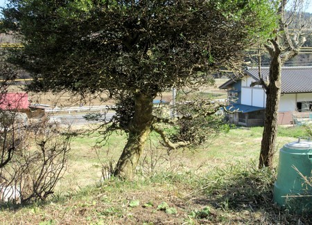 20190413after.jpg