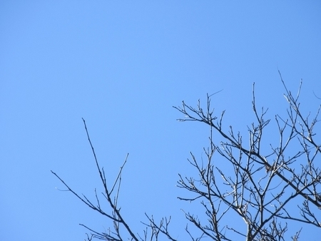 20200130skyinwinter.jpg