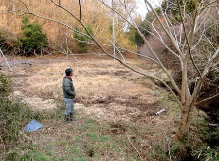 20200228lookingfor.jpg