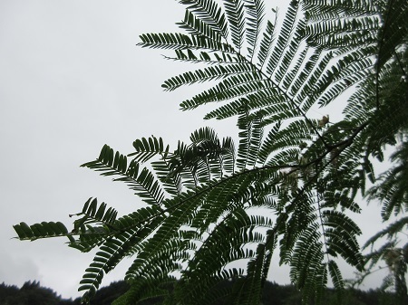 20200714_IMG_0448.JPG