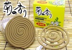 kikunokaori.jpg